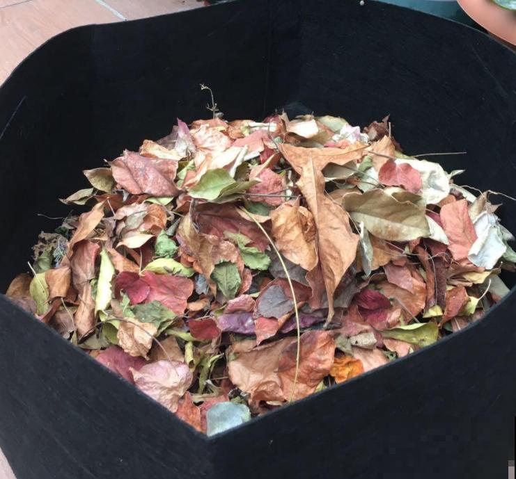 治疗植物病虫害，有2种"灰"一种“水”就够了，跟我学不花一分钱