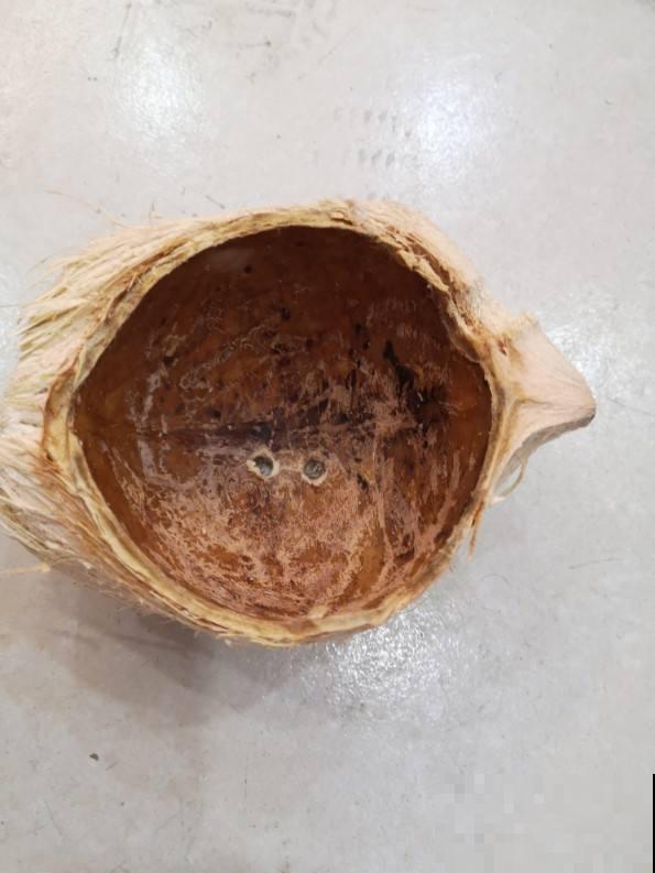 垃圾可别随手扔，这4种“垃圾”，可是养花好材料