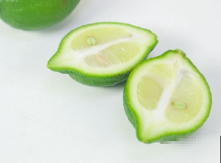 柠檬树的养殖方法和注意事项