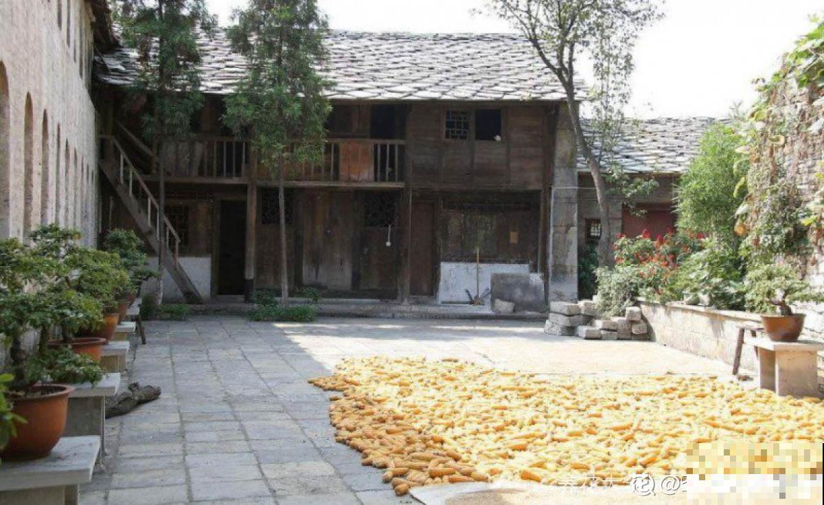 农村没人住的小平房，8万块钱就能买下来，拿来养花正好