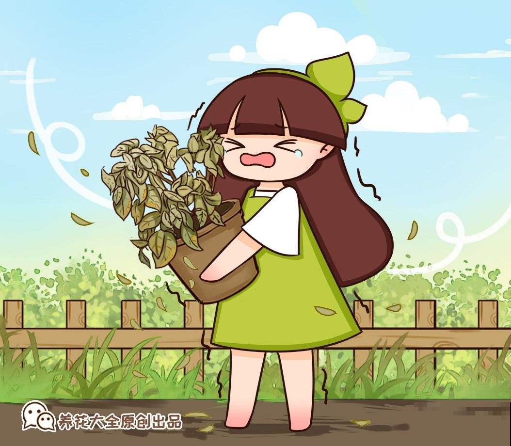 农村3种常见野草，是不可多得的中草药，别小瞧了