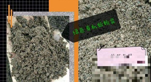 4种“垃圾”别丢掉,用来养花效果太好,还能省下一大笔钱 4种“垃圾”别丢掉,用来养花效果太好,还能省下一大笔钱