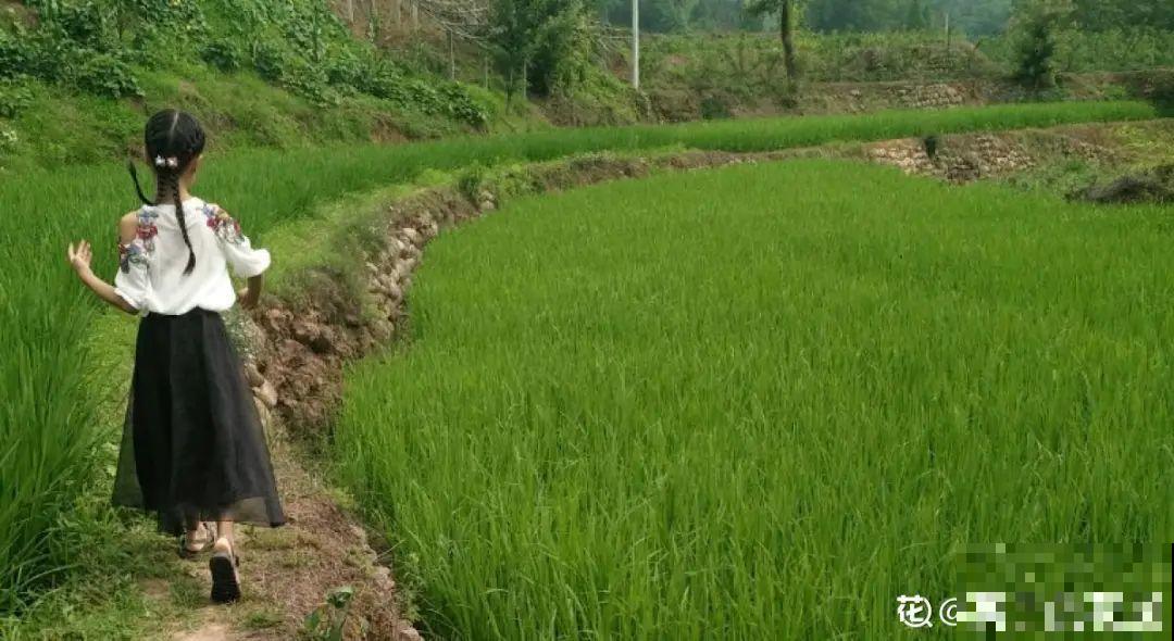 带着父母回农村，把老院子种满花，过简单生活