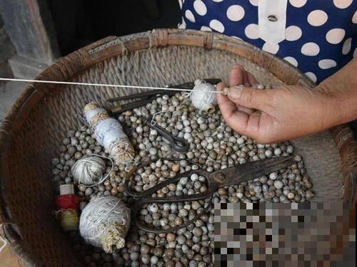 小时候“不受待见”的野草,现在排队山上挖,用处可大了 小时候“不受待见”的野草,现在排队山上挖,用处可大了