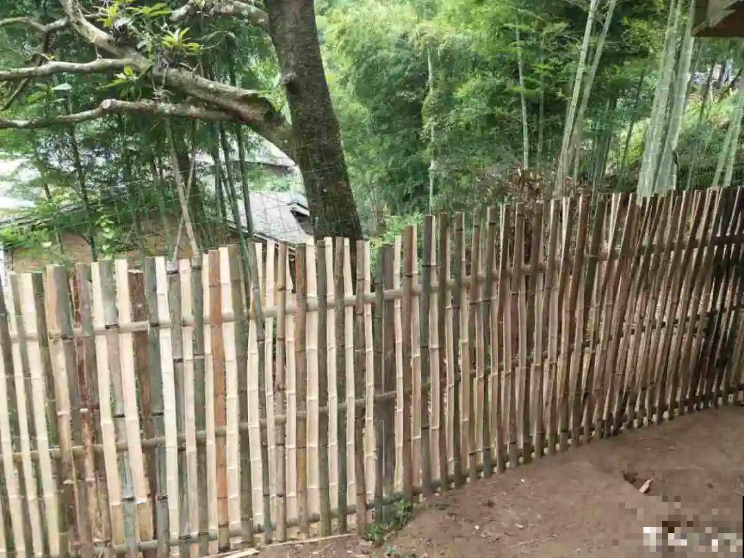 带着父母回农村，把老院子种满花，过简单生活