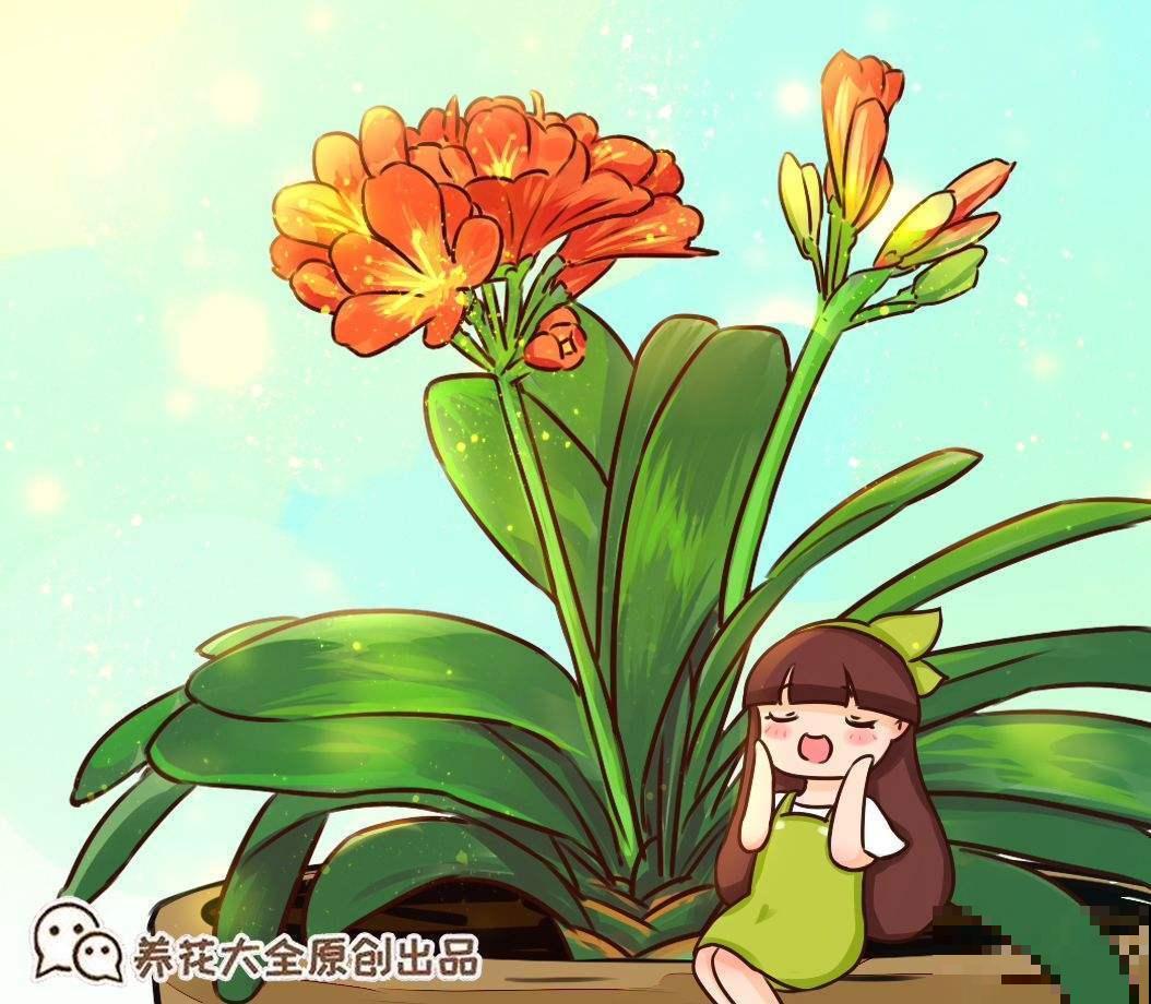 3种花堪称“传家宝”，养得时间越长，就越值钱