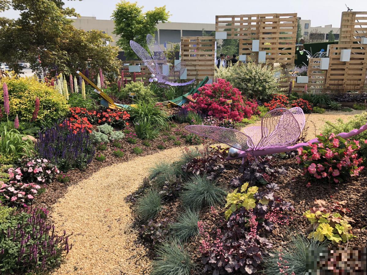 小院子人人喜欢,4个打理技巧花开满园,学到就是赚到 小院子人人喜欢,4个打理技巧花开满园,学到就是赚到