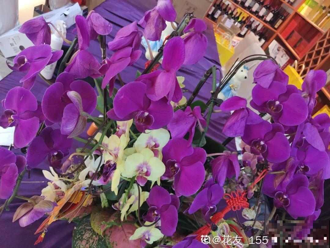 养花“急救”方法，1步搞定，别越拖越严重！