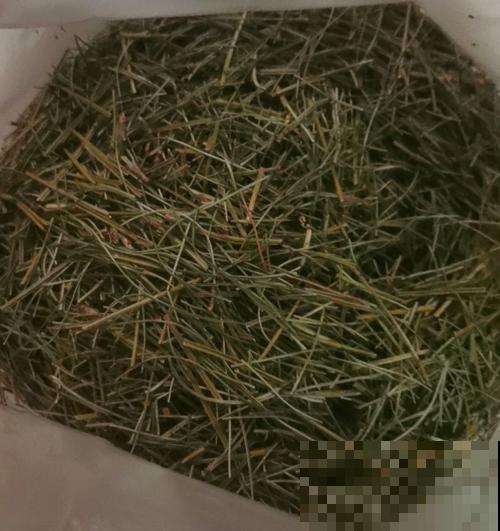 路边捡4种“垃圾”，和土壤掺一起，就是养花万能土，省一大笔钱