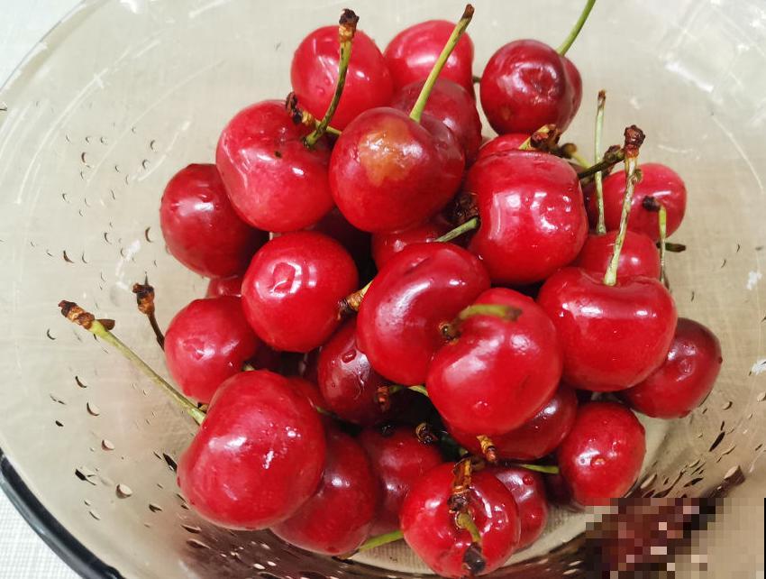 樱桃盆栽，记住这4点，养护很简单