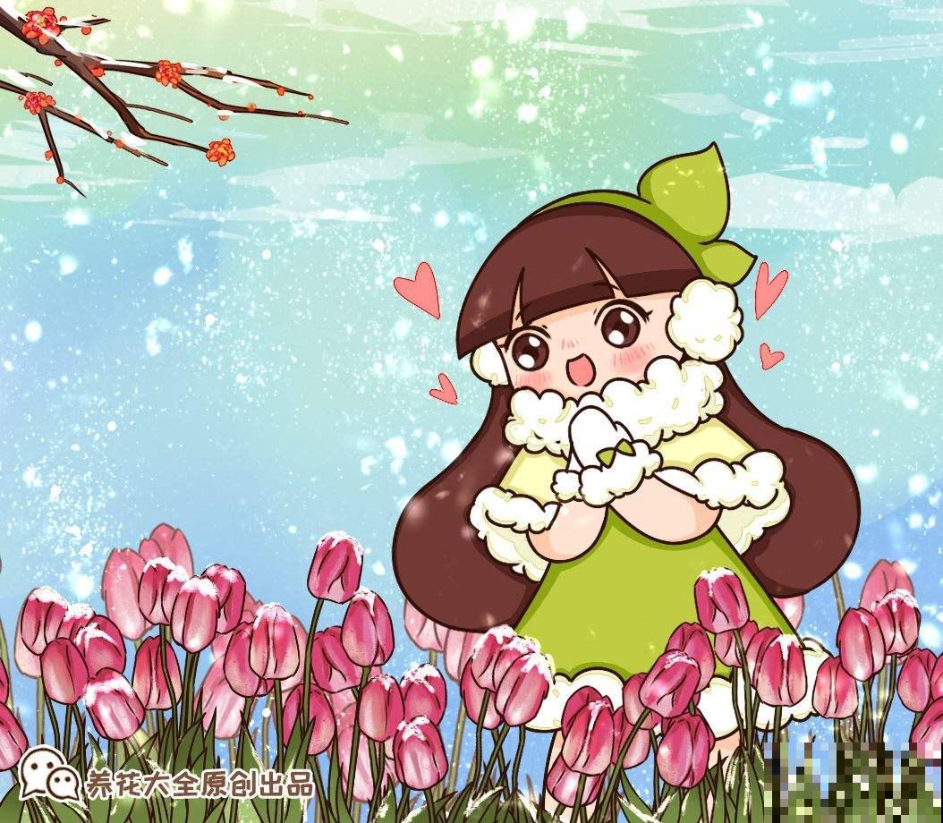 4种“一次性”花，开完了就扔，很难再养活