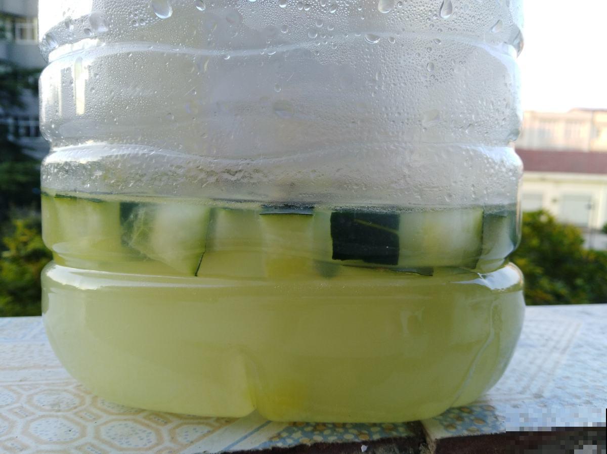 40年老花农绝不外传的养花绝招，学会一个就赚了，感觉省了好多钱