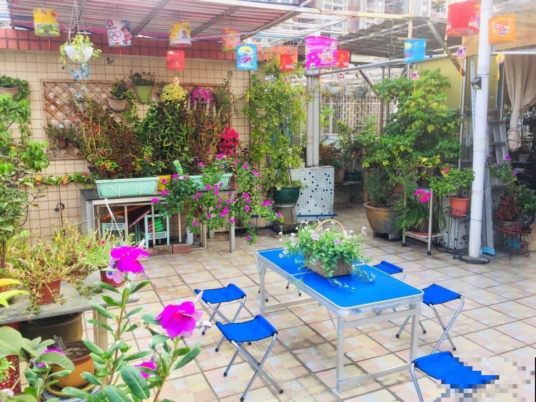 顶楼天台养花，不注意这3点，再皮实的花也养不好