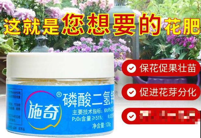 磷酸二氢钾喷施很简单，记住这3点，家里的花越长越好