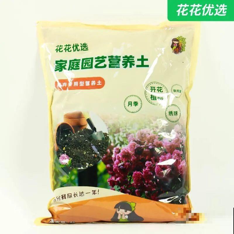 超详细的植物换土步骤,保姆级教程,实用的很 超详细的植物换土步骤,保姆级教程,实用的很