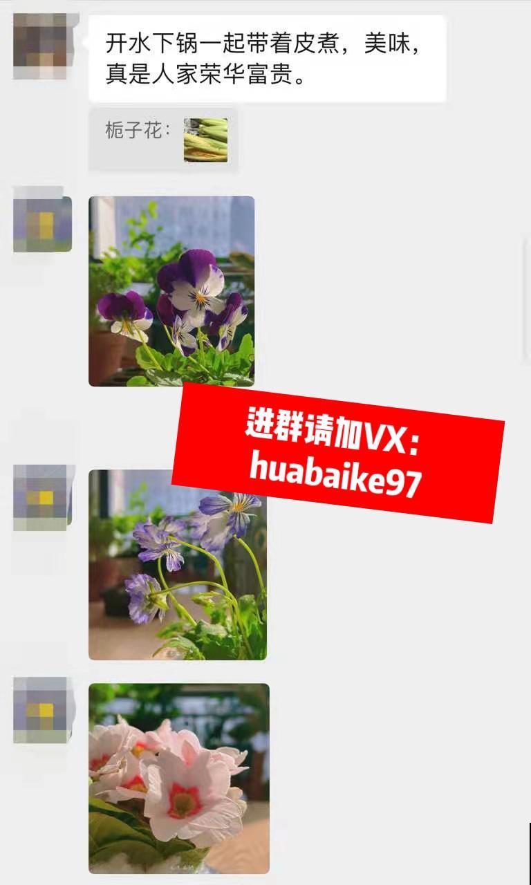 想进养花群,赶紧来看看,免费解答养花问题哦~ 想进养花群,赶紧来看看,免费解答养花问题哦~