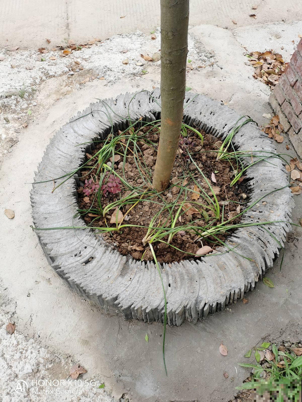 小时候不喜欢的农村房，现在用来养花，简直就是“天堂”，真香