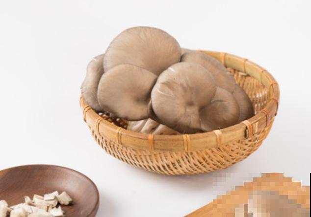 家庭蘑菇菌包种植，记住这4点，轻松种出蘑菇