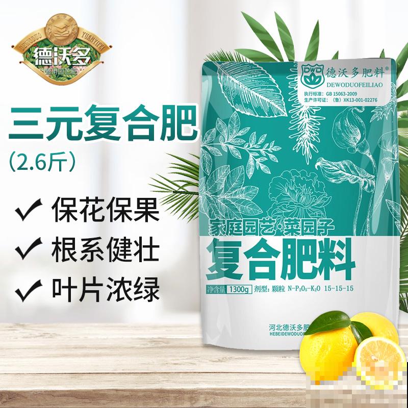 养了一年的飘香藤不开花，居然是4个要点没注意，还好及时发现