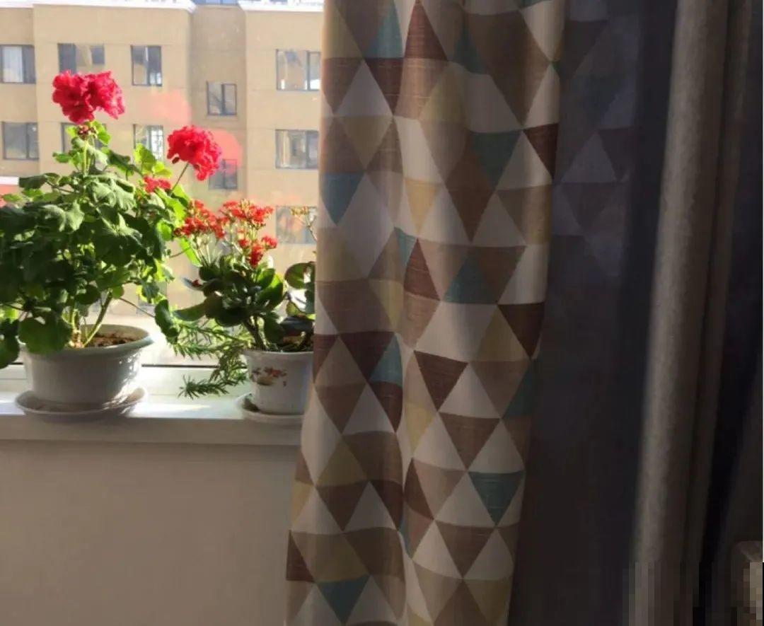 客厅养花别乱摆，选对位置，财运滚滚来！