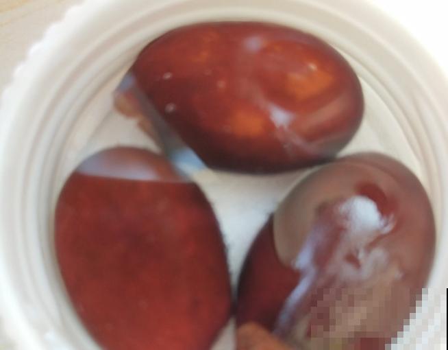 荔枝种子不要扔,学会这5步,轻松种出盆栽 荔枝种子不要扔,学会这5步,轻松种出盆栽