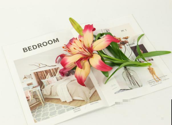 百合种球埋沙里，能保存一年，来年种下也合适