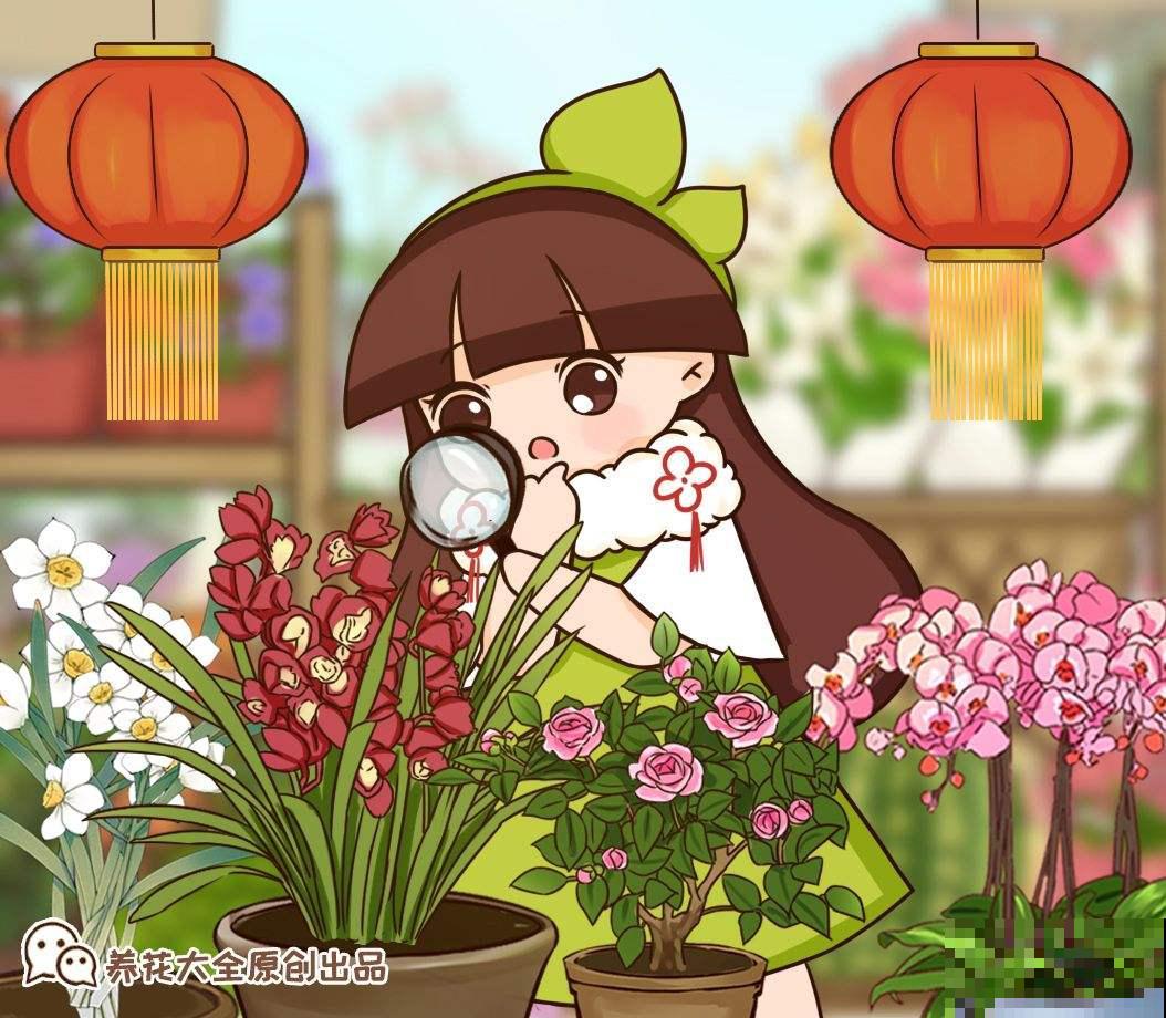 年前花市真热闹，6种花再不买，一个月后就涨价