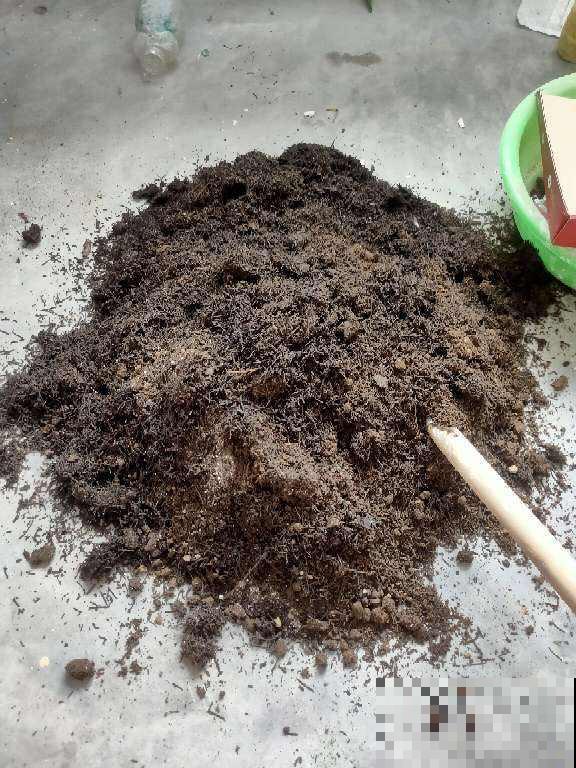 省钱的养花技巧,养花成本减半,你都知道几个? 省钱的养花技巧,养花成本减半,你都知道几个?