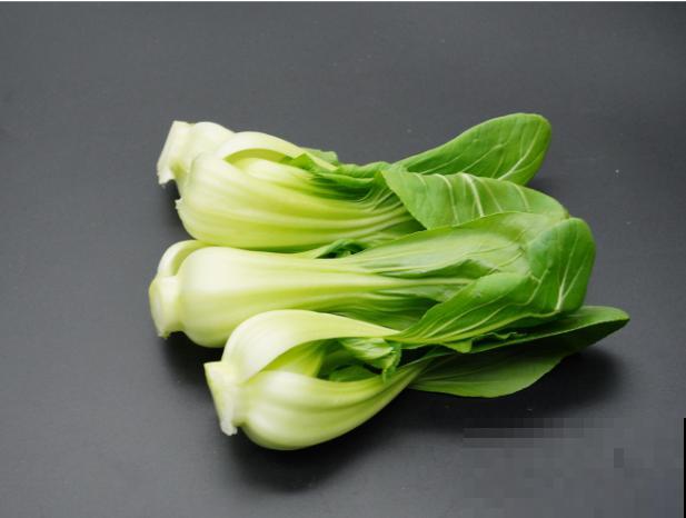 在家要想水培蔬菜，就选这5种，好养长得快