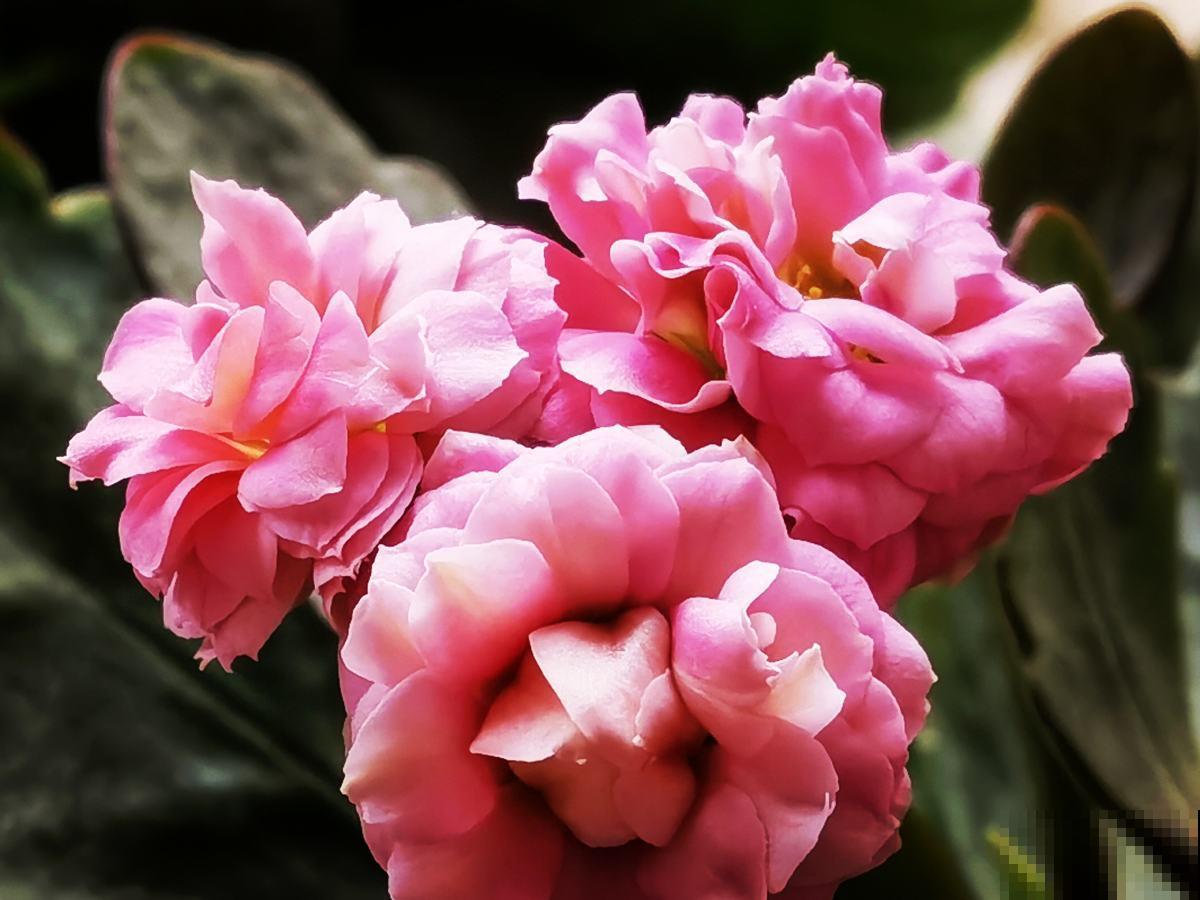 要想身体健康，5个禁忌你别做，春天一定要注意