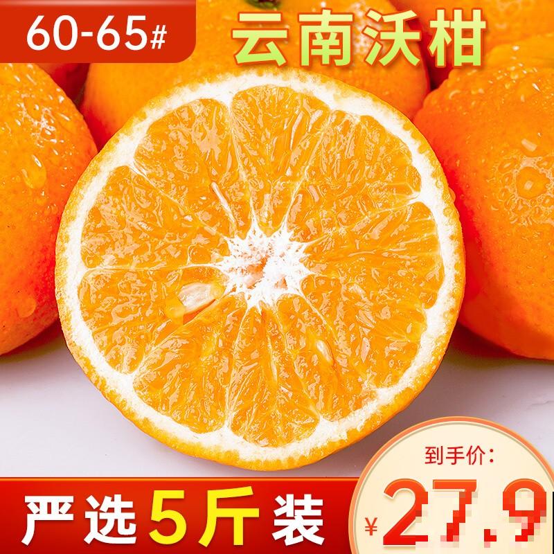 吃剩的橘子皮别丢，拿来养花效果好，便宜还好用