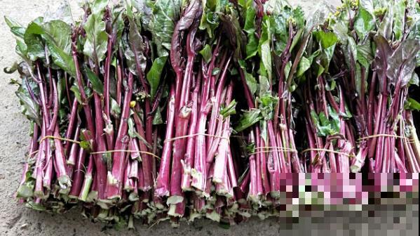 这5种蓝紫色的蔬菜水果，家里常备，好吃营养高