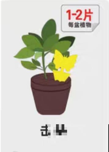 春天请个“护花神”,杀虫效果好,安全放心无污染 春天请个“护花神”,杀虫效果好,安全放心无污染