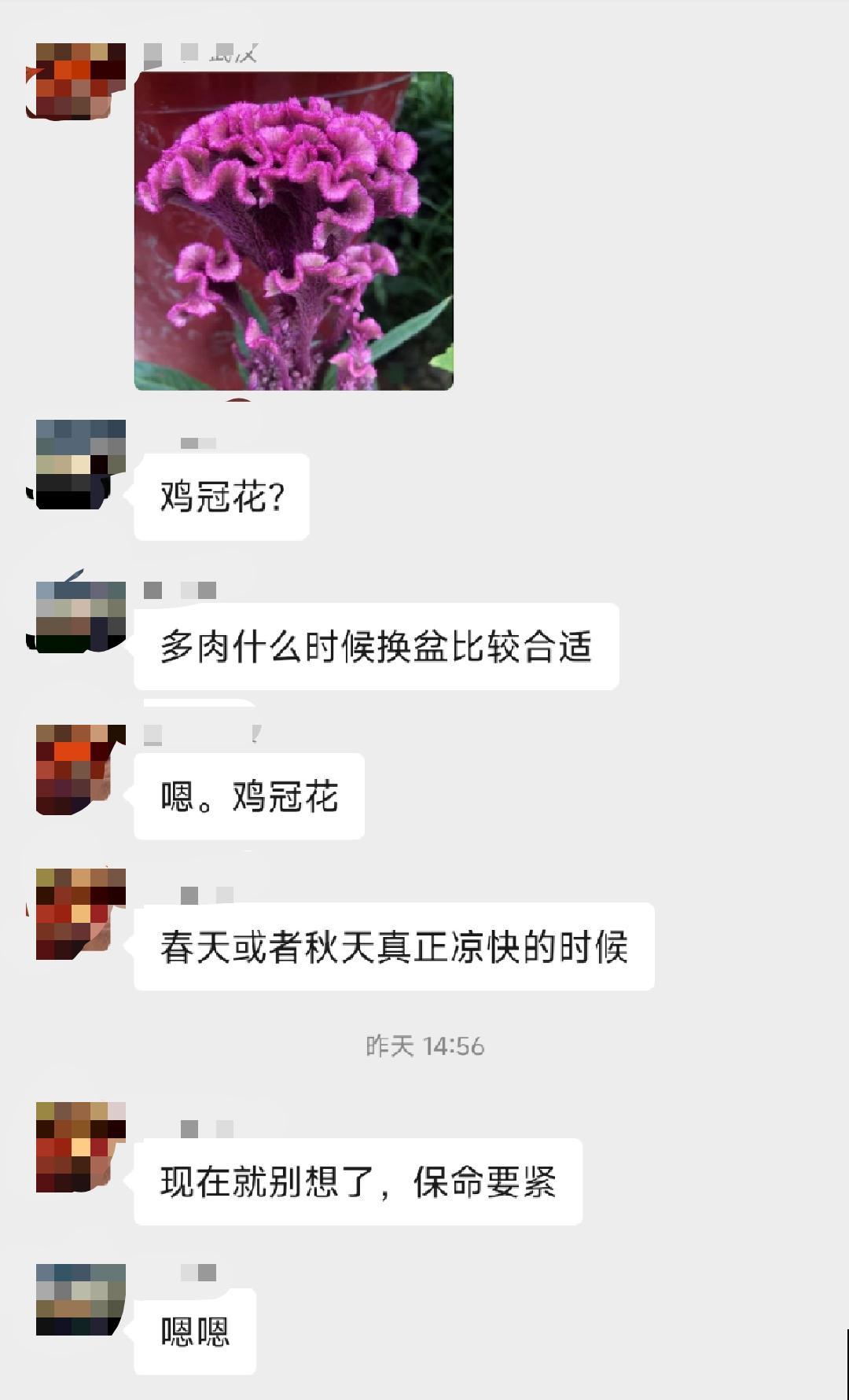 三伏天,花草难度夏,有问题来问我吧! 三伏天,花草难度夏,有问题来问我吧!