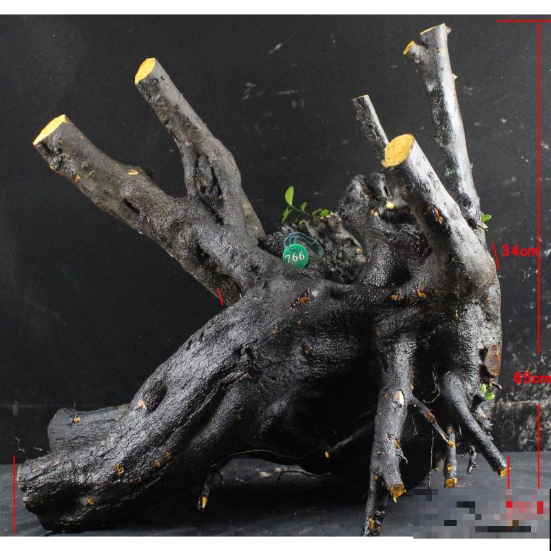 1种花有招财进宝好寓意,果子咕嘟咕嘟冒,硕果累累有好兆头 1种花有招财进宝好寓意,果子咕嘟咕嘟冒,硕果累累有好兆头
