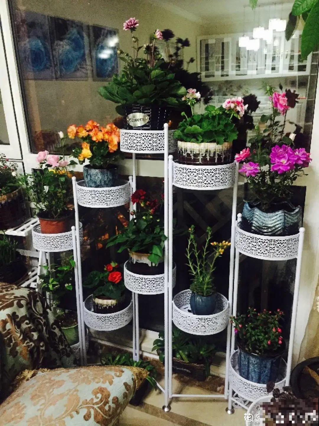 “香花卧室放，花旺人不旺”，老祖宗的良言，大有道理！