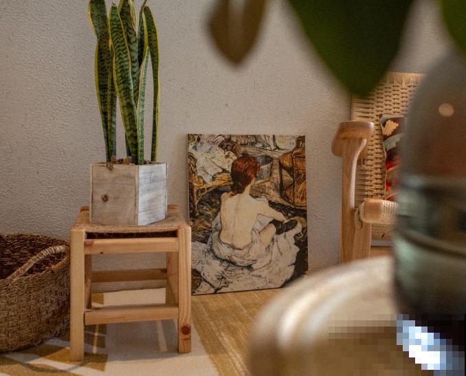 大型植物换盆步骤，学会4要点，植物轻松度过服盆期