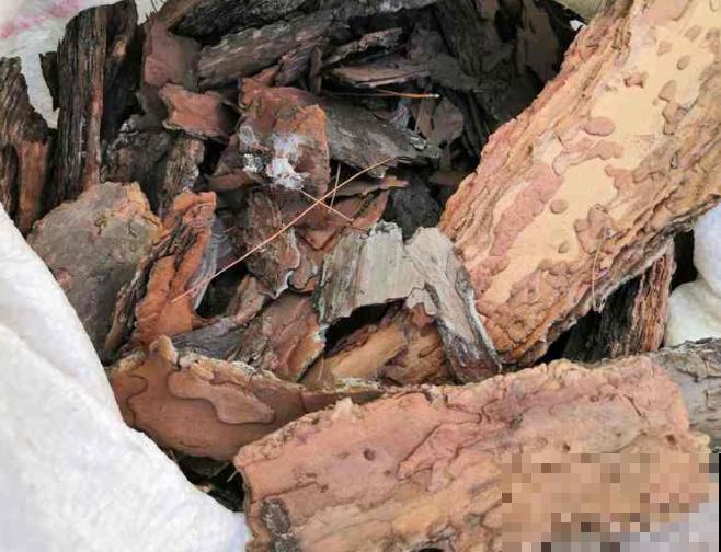 松树皮发酵时间长，记住这2种发酵方法，就能发酵成功