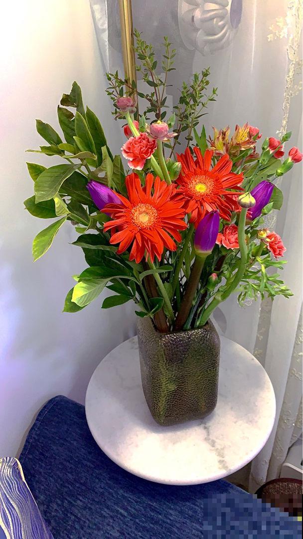 一种花名叫古代稀,被叫做“鲜花中的锦缎”,开花就爆盆 一种花名叫古代稀,被叫做“鲜花中的锦缎”,开花就爆盆