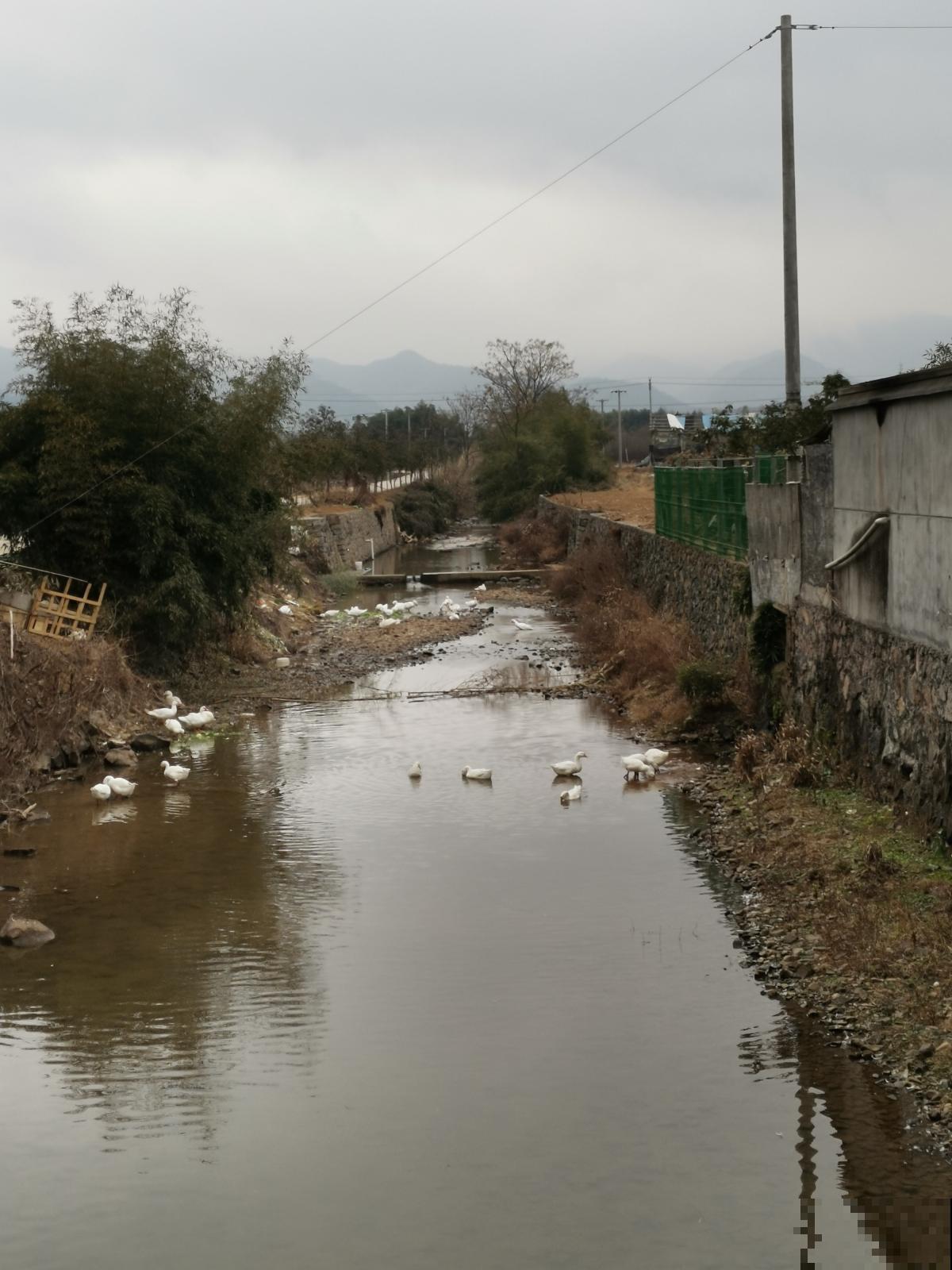 小时候不喜欢的农村房，现在用来养花，简直就是“天堂”，真香