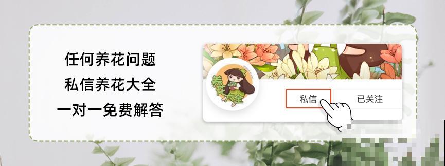 一把白色小豆豆撒土里，啥虫都能杀死，全年不生虫，干干净净