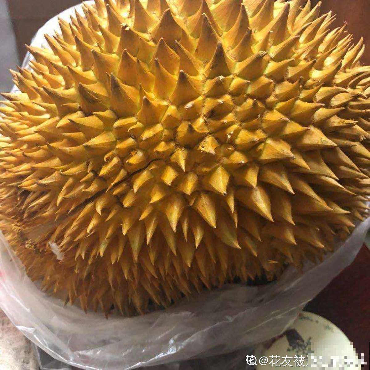 高热量水果，一个堪比白米饭，一定要少吃