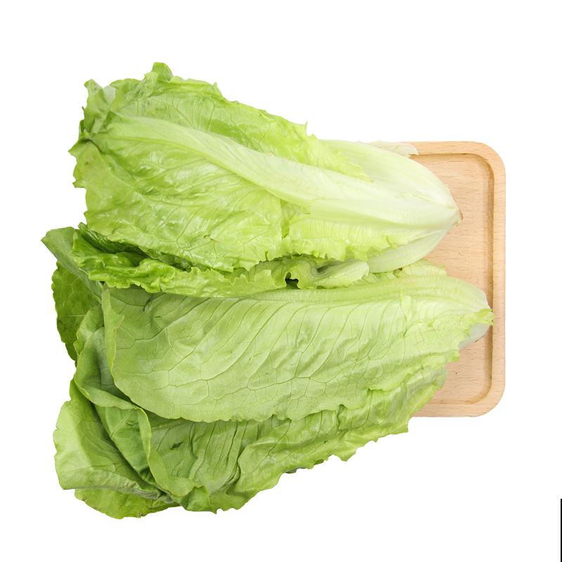 家里种植蔬菜,不要再花钱买种子了,这5种可以留种 家里种植蔬菜,不要再花钱买种子了,这5种可以留种