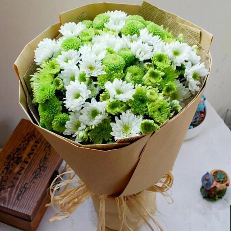 春天是养雏菊的季节，雏菊不同的含义，你都知道吗