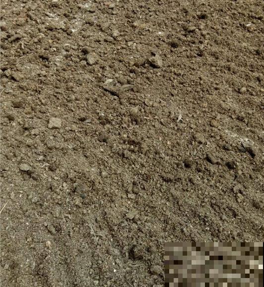 “庄稼一枝花，全靠肥当家”，现在施肥，呼呼爆盆开花