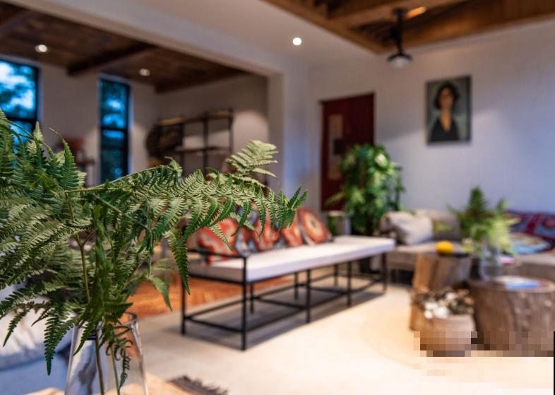 大型植物换盆步骤，学会4要点，植物轻松度过服盆期