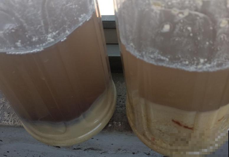 在家沤肥鱼肠，学会这4步，轻松沤制