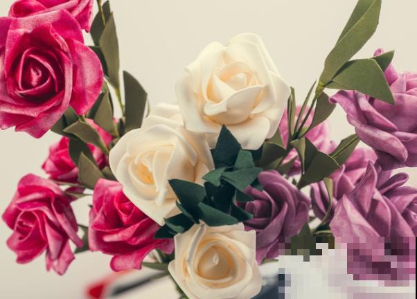 玫瑰花垂头，不要急，注意这4步就能恢复