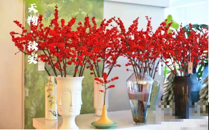 花68888元买棵桔子树，新年沾满“桔气”，来年“大吉大利”！