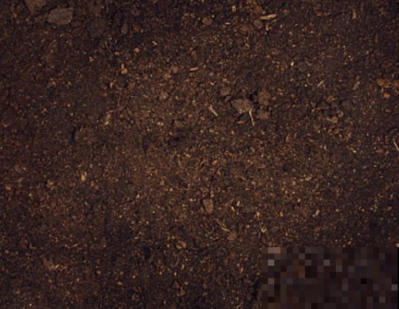 种花土杀虫杀菌,可以采用这4个办法,效果好 种花土杀虫杀菌,可以采用这4个办法,效果好